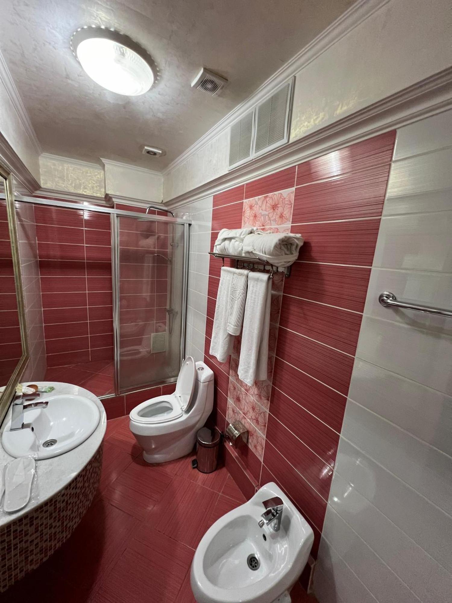 Sary Arka Hotel Σιμκέντ Δωμάτιο φωτογραφία